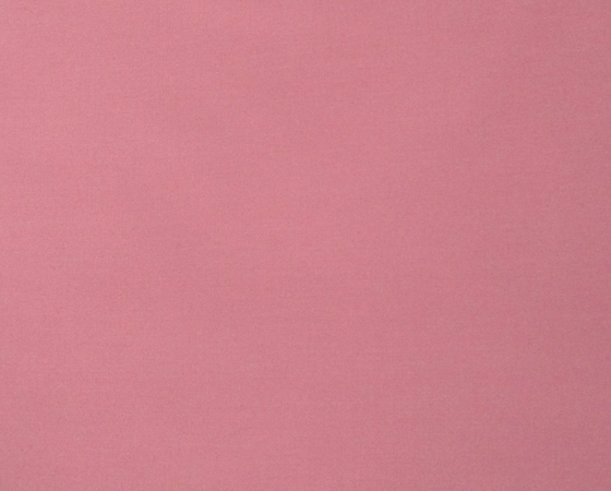 Kate 65/35. Màu hồng dâu