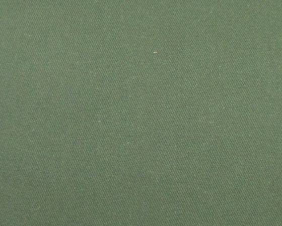 Kaki cotton dày. Màu 41